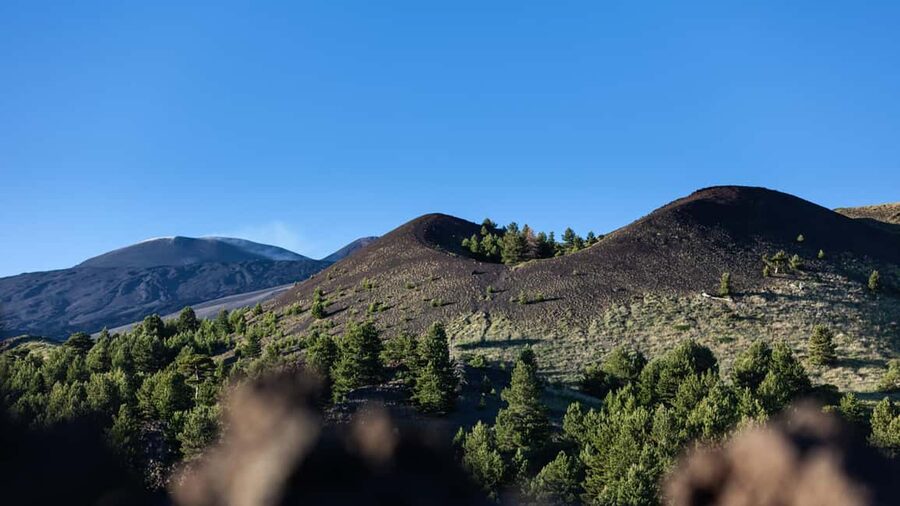 From Catania: trek on Mount Etna, Lava Cave & tasting Tour - Inside Grotta Lunga with helmet and headlamp