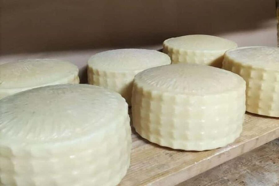 From Chania: Olive Oil, Wine, Cheese & Honey Tasting Tour - Bakery flavors from a family business