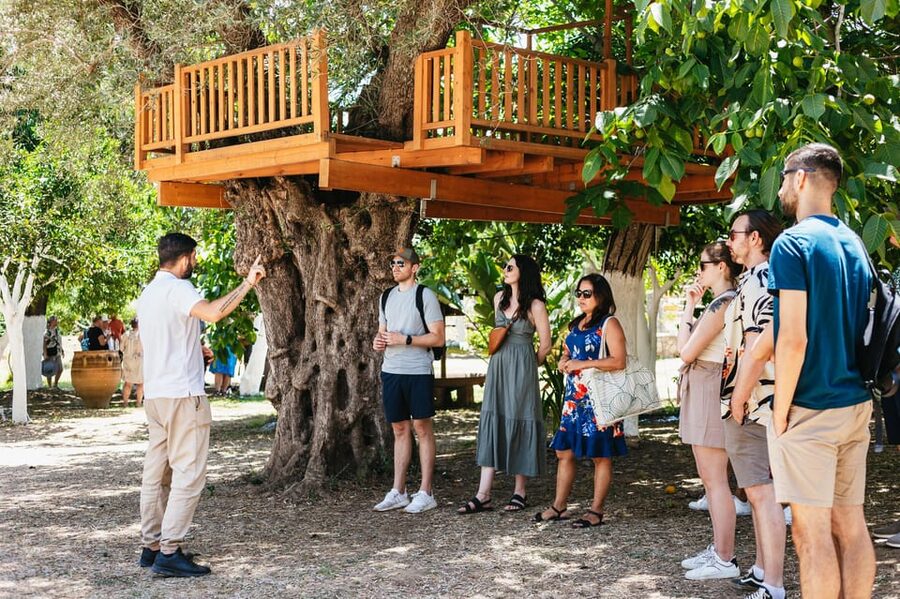 From Chania: Wine and Olive Oil Tasting Tour with Snacks - The first winery and Cretan grape varieties