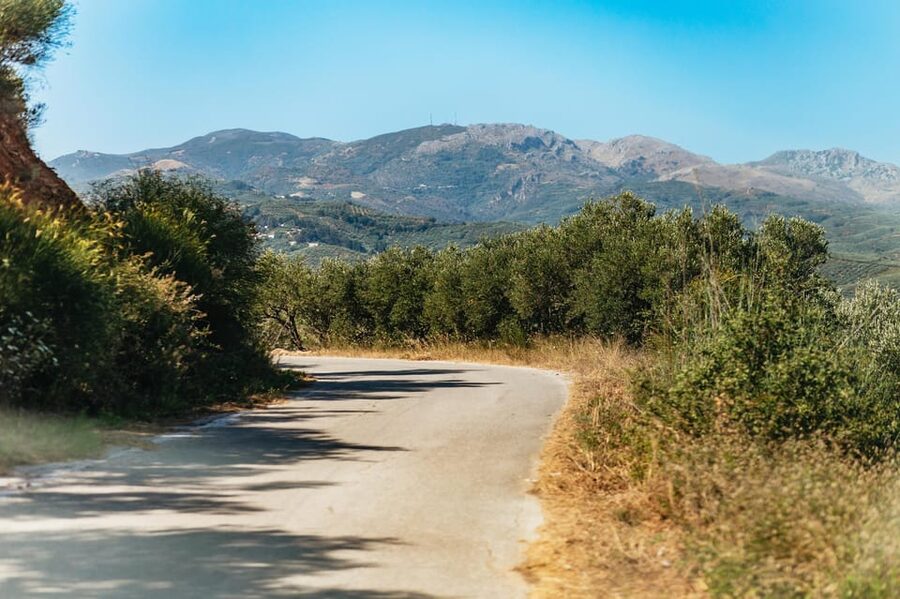 From Chania: Wine and Olive Oil Tasting Tour with Snacks - The 3,000-year-old olive tree