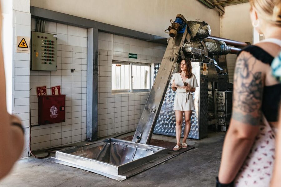 From Chania: Wine and Olive Oil Tasting Tour with Snacks - Inside a Cretan olive oil factory