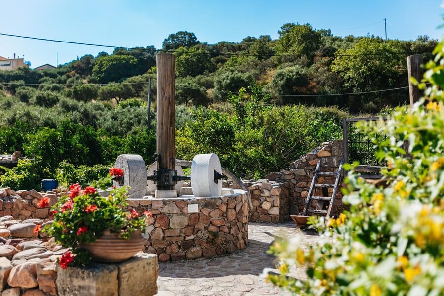 From Chania: Wine and Olive Oil Tasting Tour with Snacks - The second winery and white-wine blend