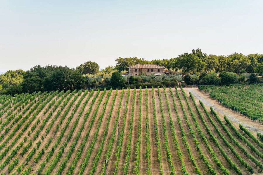 From Florence: Small Group Wine Tasting Tour to Tuscany - What $105 gets you
