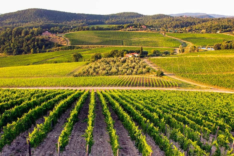 From Florence: Tuscany Wine & Food Tour with Guide - Greve in Chianti offers a change of pace