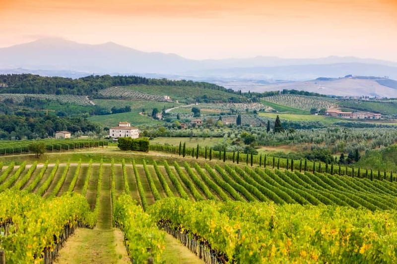 From Florence: Tuscany Wine & Food Tour with Guide - What the food and wine are really like