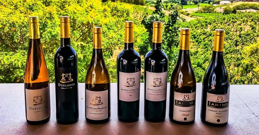 From Lagos: Small-Group 4-Hour Wine Tasting Tour - Forty-five minutes among Silves’ Moorish walls