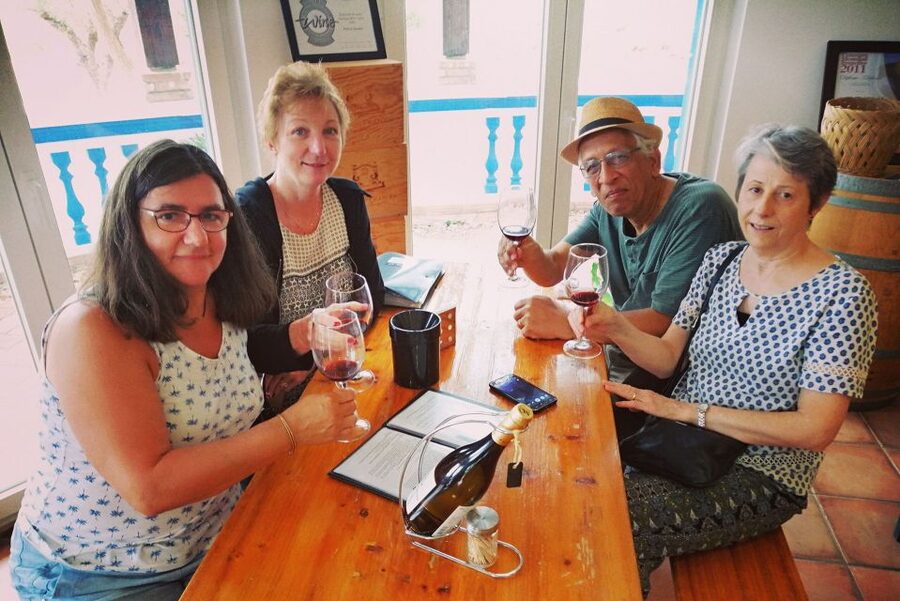From Lagos: Small-Group 4-Hour Wine Tasting Tour - Who will enjoy this Lagos wine tour?