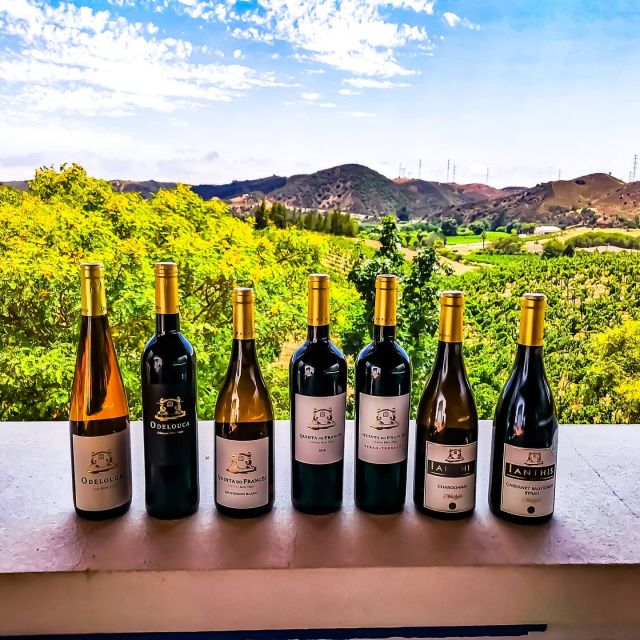 From Lagos: Small-Group 4-Hour Wine Tasting Tour - A local winery with time to slow down