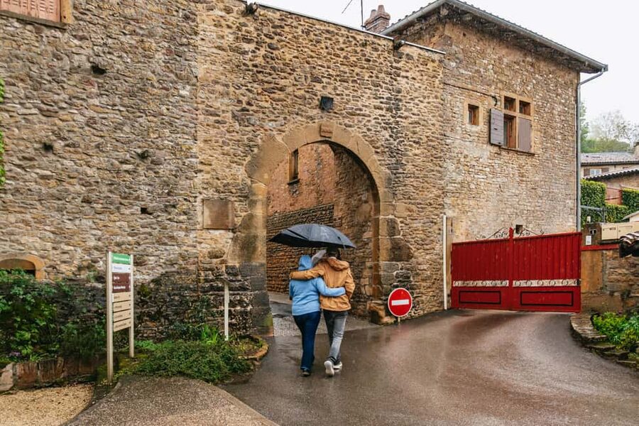 From Lyon: Golden Stones Beaujolais Wine Tasting Tour - What you will learn about Beaujolais wine