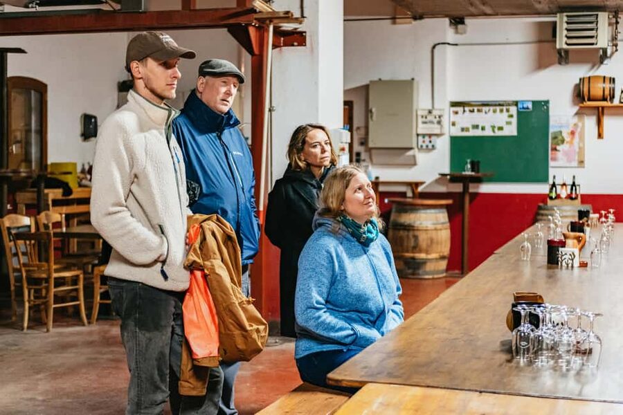 From Lyon: Golden Stones Beaujolais Wine Tasting Tour - Timing, comfort, and access