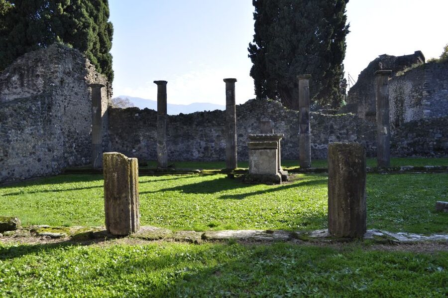 From Naples: Pompeii and Wine Tasting Tour with Lunch - What the $135.94 price really covers