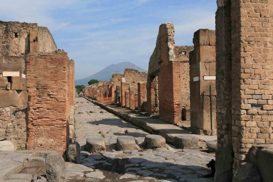 From Naples: Pompeii and Wine Tasting Tour with Lunch - Who should book this day trip