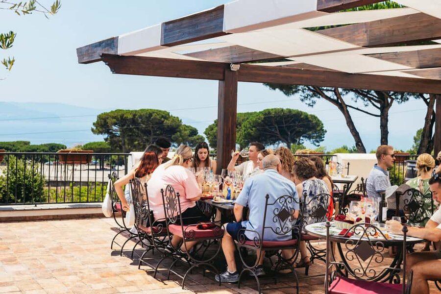 From Naples: Wine Tasting Tour on Vesuvius Slopes with Lunch - Arriving at a family winery on Mount Vesuvius