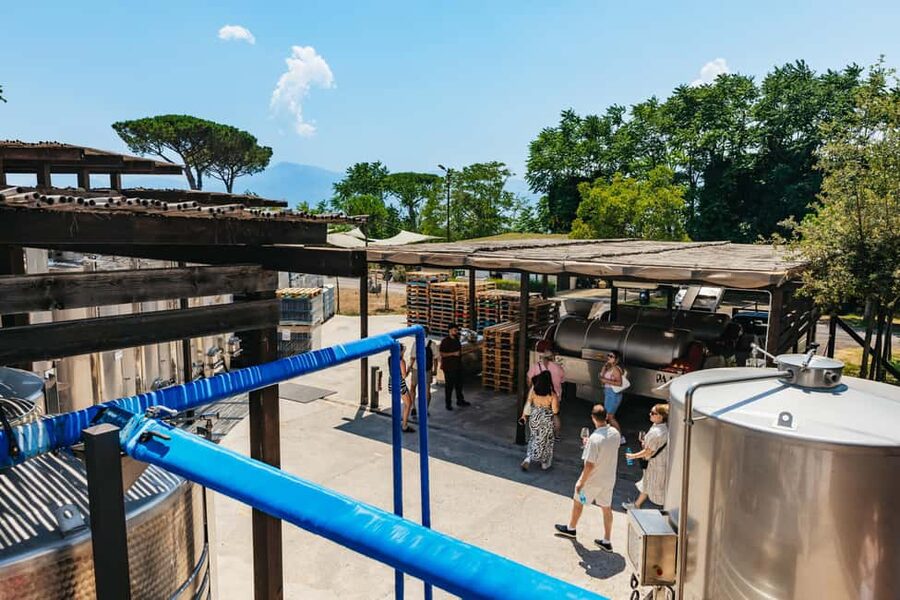 From Naples: Wine Tasting Tour on Vesuvius Slopes with Lunch - Value, group size, and who should book