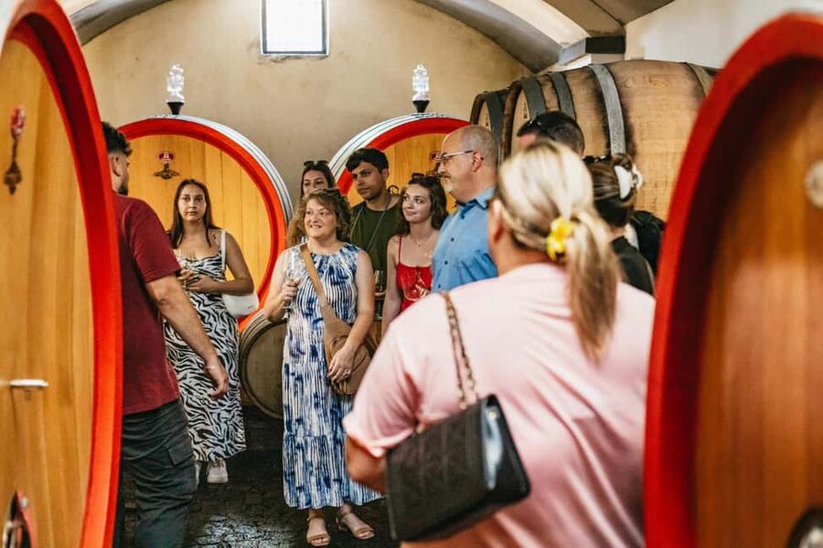 From Naples: Wine Tasting Tour on Vesuvius Slopes with Lunch - Should you book this Vesuvius wine tour?