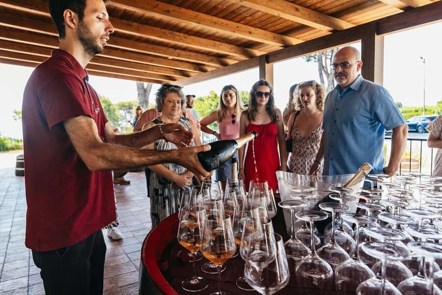 From Naples: Wine Tasting Tour on Vesuvius Slopes with Lunch - FAQ