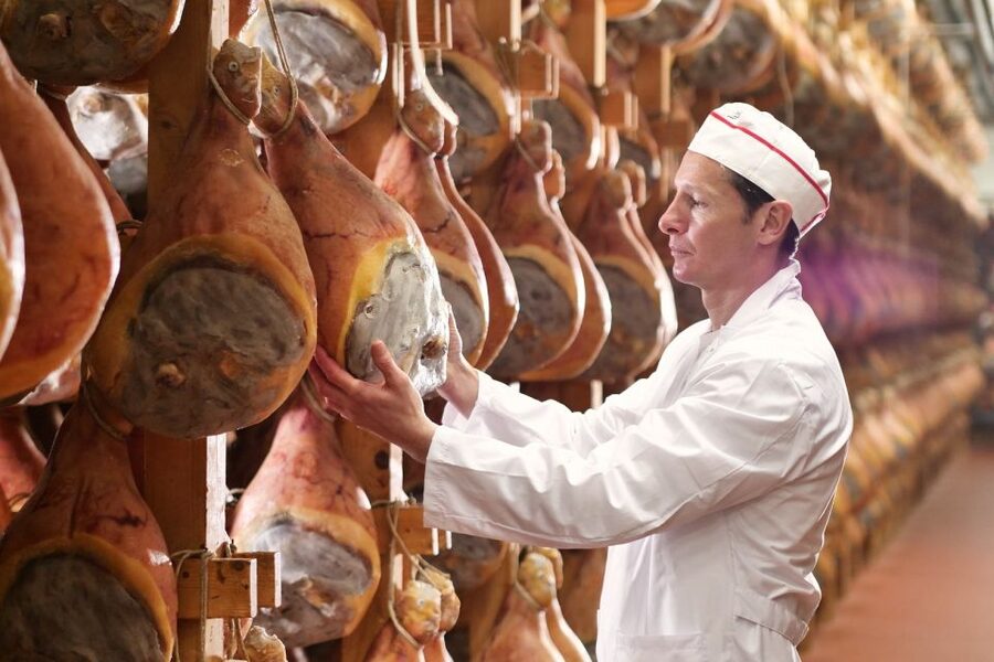 From Parma: Parmigiano and Parma Ham Guided Food Tour - Key points to know before booking