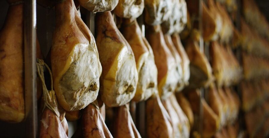 From Parma: Parmigiano and Parma Ham Guided Food Tour - Who will get the most from this food tour