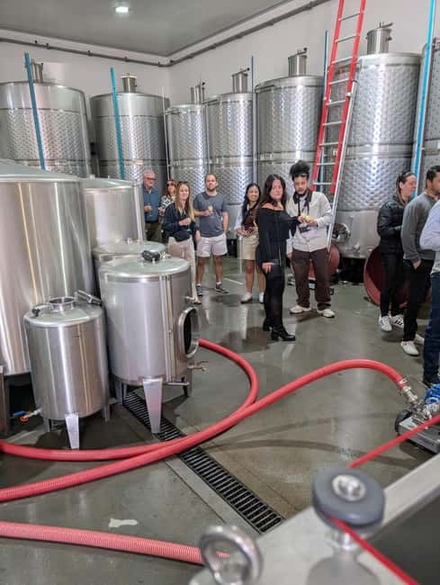 From Porto: 2 Wine Regions, Farm-to-Table Lunch & Boat - Who should book this wine tour?