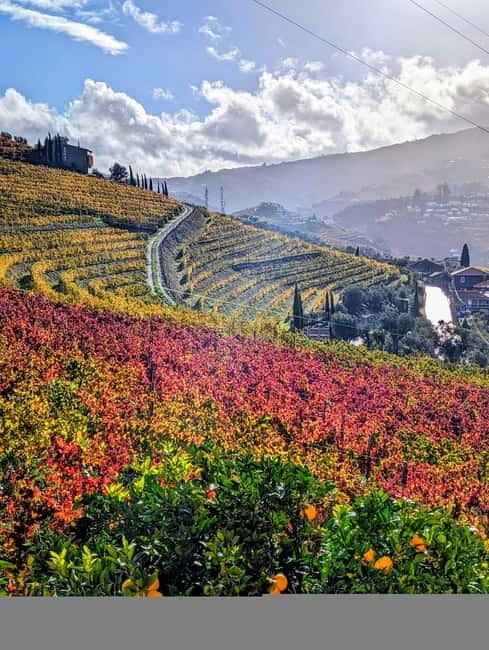 From Porto: 2 Wine Regions, Farm-to-Table Lunch & Boat - How much wine and food should you expect?