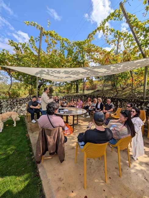 From Porto: 2 Wine Regions, Farm-to-Table Lunch & Boat - Is $94 a good value?