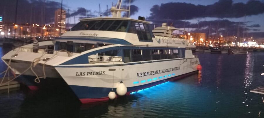 From Puerto Rico: Boat trip along the coast w/ Food & Drinks - What you might see along Gran Canaria’s coast