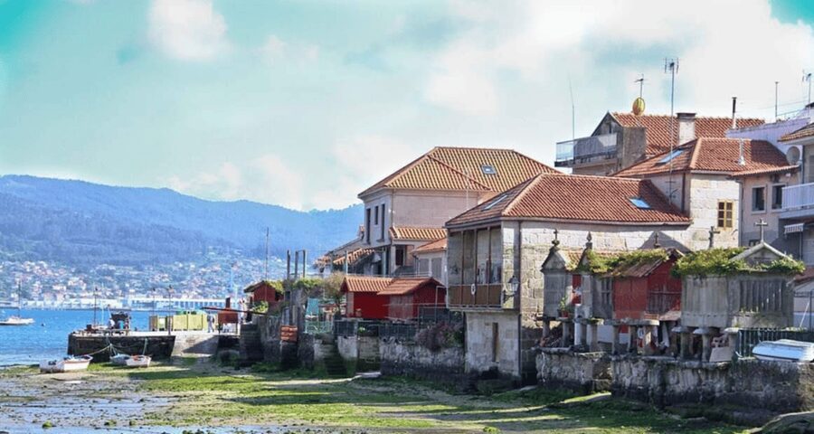 From Santiago: Rías Baixas Galicia Seafood & Wine Day Tour - Starting with Albariño in the vineyard
