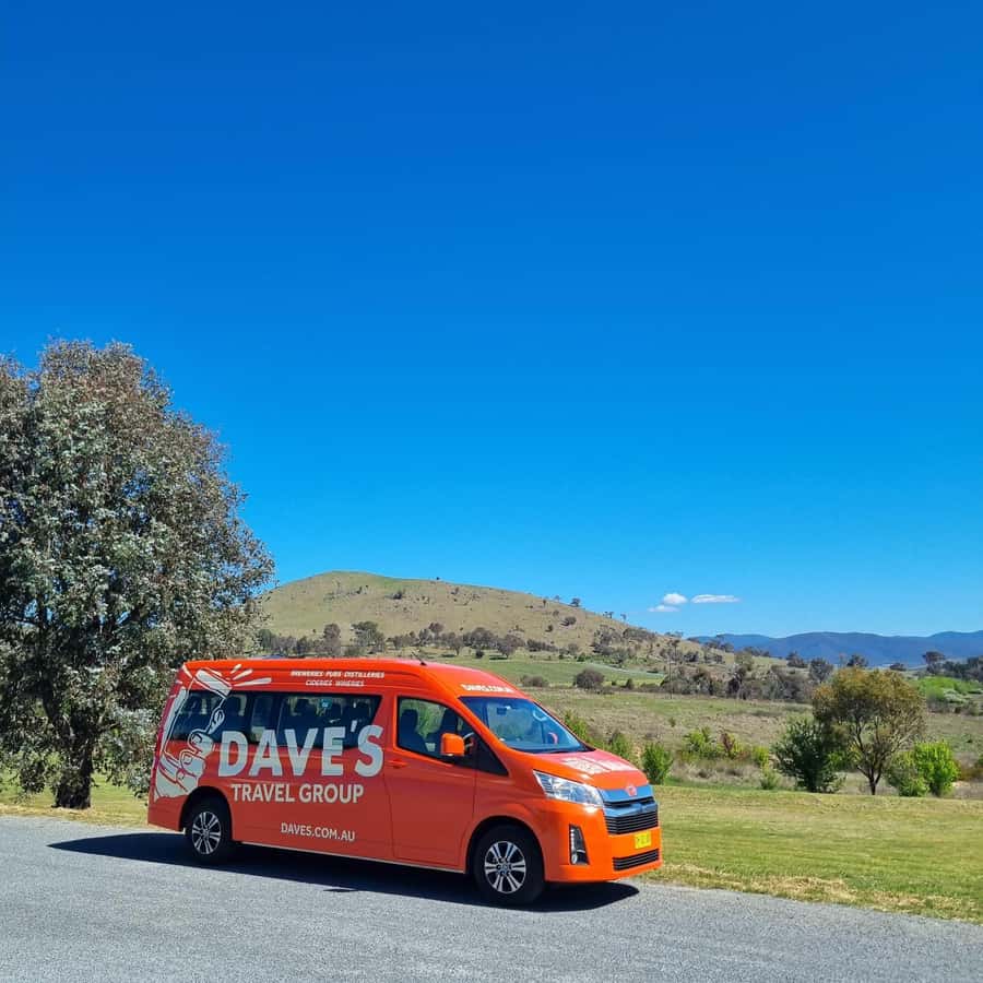 From Sydney: Hunter Valley Wine, Gin & Food Tastings Tour - Guides make or break the experience