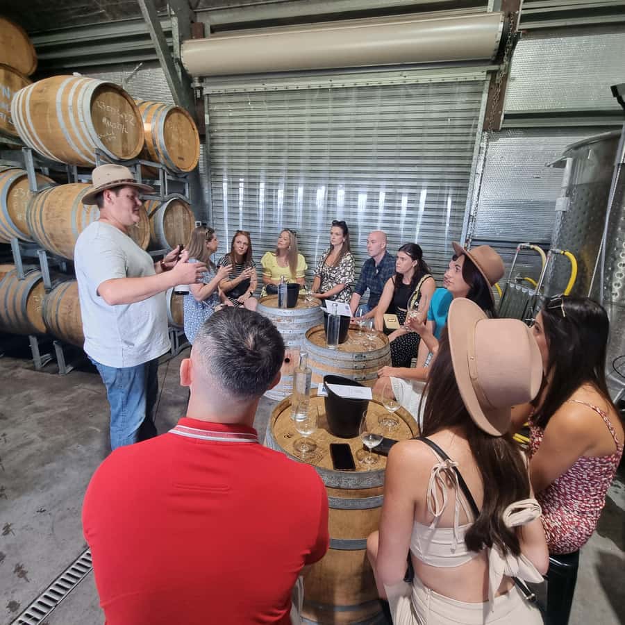 From Sydney: Hunter Valley Wine, Gin & Food Tastings Tour - What the long drive means for your day
