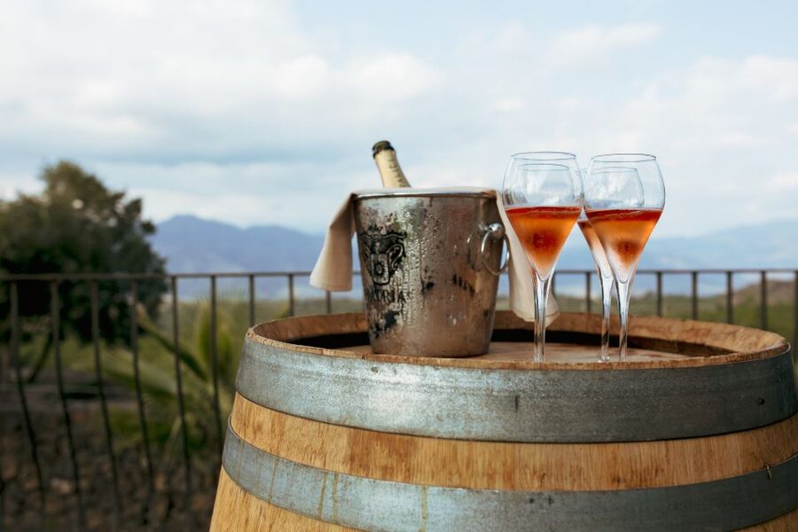 From Taormina: Mount Etna Food and Wine Tasting Tour - Should you book it?