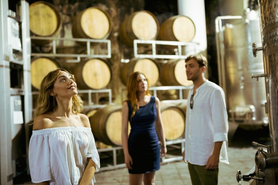 From Taormina: Mount Etna Food and Wine Tasting Tour - Lunch on an open-air terrace
