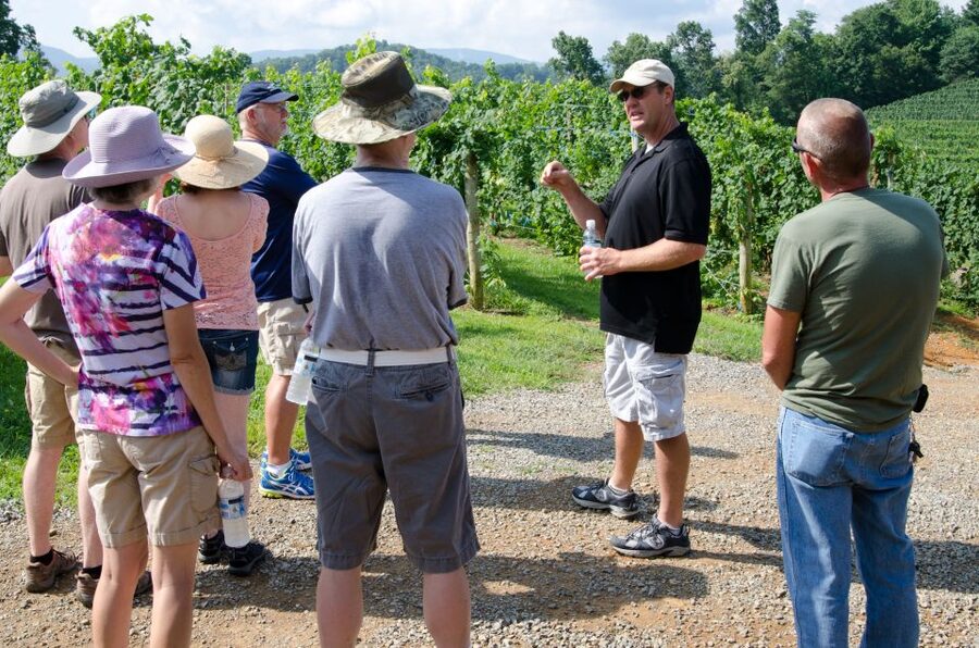 From Taormina: Private 3 Etna Wineries with Food & Wine - Why Etna wine tastes different