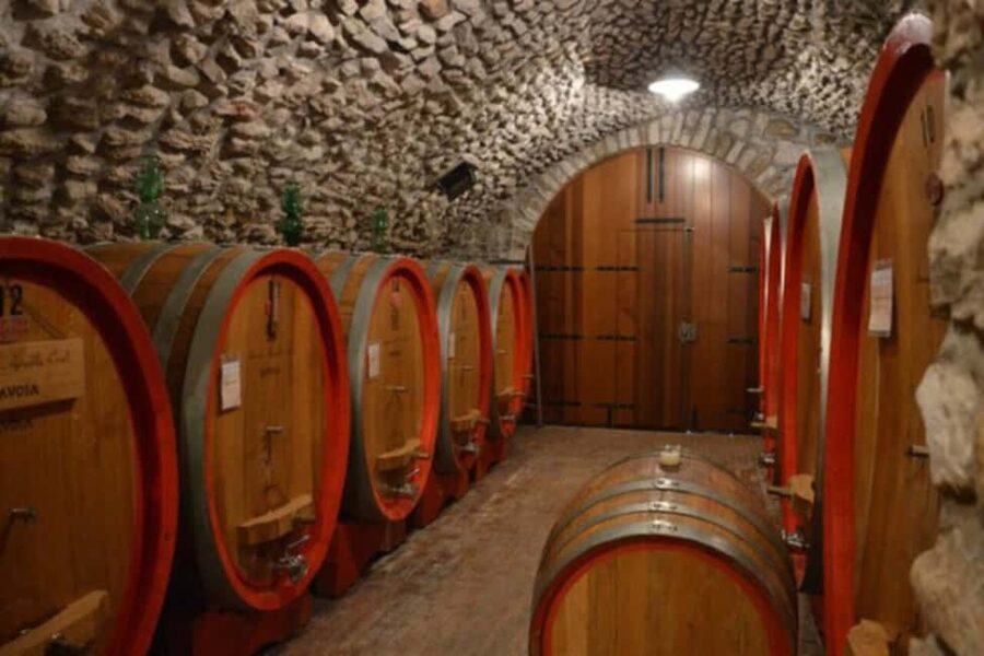 From Verona: Amarone Half-Day Wine Tasting Tour - The best parts, and the limits