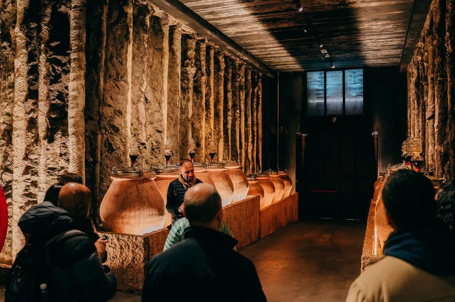 From Verona: Valpolicella and Amarone Wine Tasting Tour - The first cellar: Amarone, production, and a proper tasting