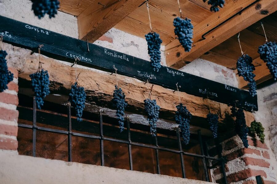 From Verona: Valpolicella and Amarone Wine Tasting Tour - The minivan, timing, and group size