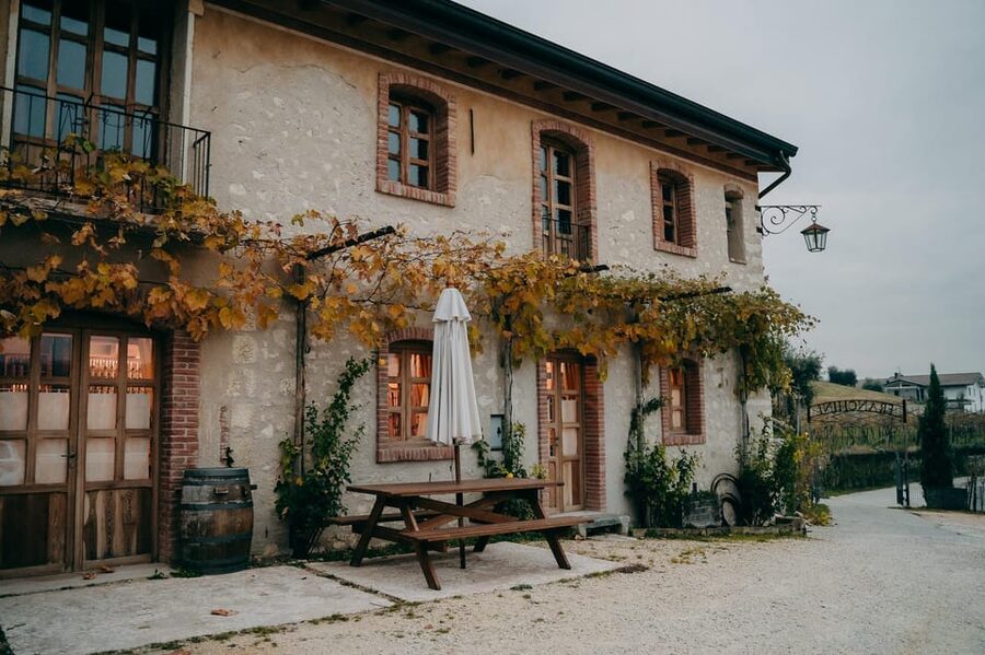 From Verona: Valpolicella and Amarone Wine Tasting Tour - Who should book this experience?