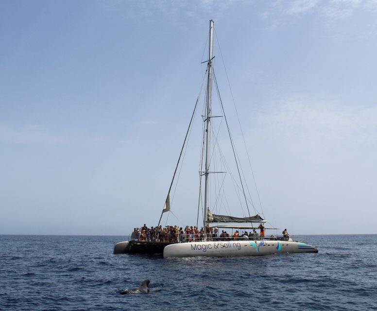Fuerteventura: Magic Catamaran Trip with Food and Drinks - How much value do you get for $91?