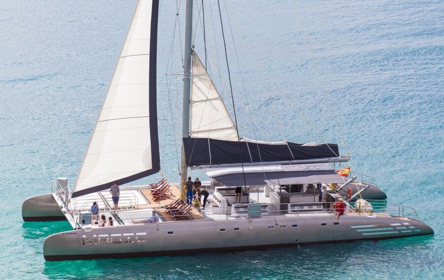 Fuerteventura: Magic Catamaran Trip with Food and Drinks - The first 90 minutes: searching for dolphins and whales