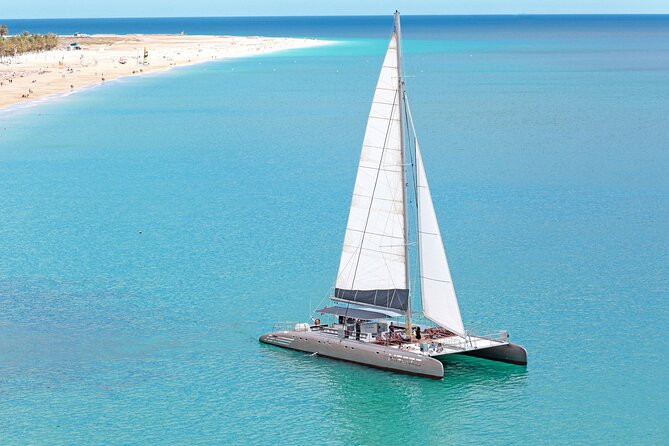 Fuerteventura: Magic Select Catamaran Trip with Food & Drinks - The wildlife search is exciting, but never certain