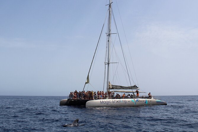 Fuerteventura: Magic Select Catamaran Trip with Food & Drinks - Is the $93.12 price good value?