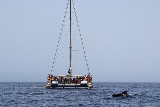 Fuerteventura: Magic Select Catamaran Trip with Food & Drinks - Booking details and cancellation safety