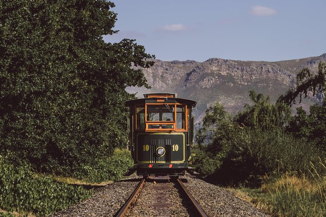 Full-Day Stellenbosch, Franschhoek and Paarl Wine Tasting Tour from Cape Town - Setting out from Cape Town at 8:00 a.m.