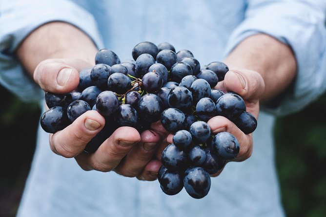 Full-Day Stellenbosch, Franschhoek and Paarl Wine Tasting Tour from Cape Town - Franschhoek, Huguenot heritage, and the wine tram