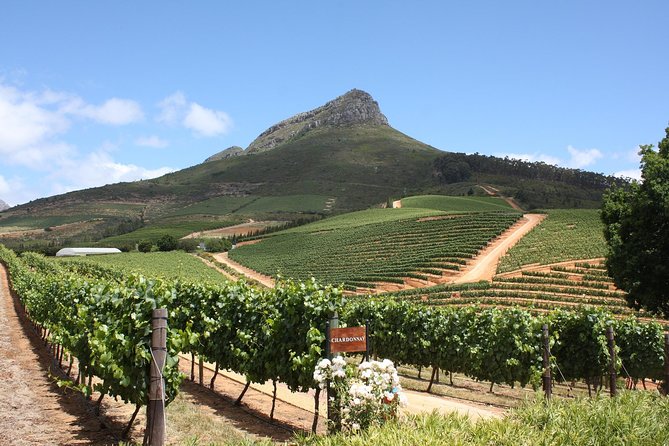 Full-Day Stellenbosch, Franschhoek and Paarl Wine Tasting Tour from Cape Town - Who will enjoy this Cape Winelands day?