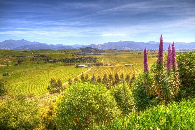 Full-Day Wine Gourmet and Scenic Delight Tour of Marlborough from Blenheim - Why this Blenheim wine day works well