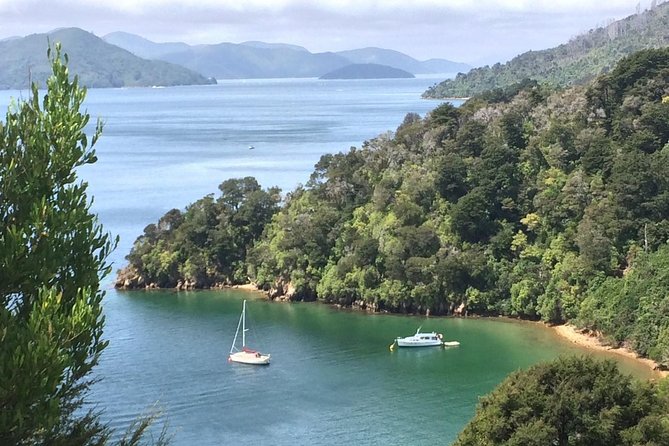 Full-Day Wine Gourmet and Scenic Delight Tour of Marlborough from Blenheim - Framingham shows Marlborough beyond sauvignon blanc