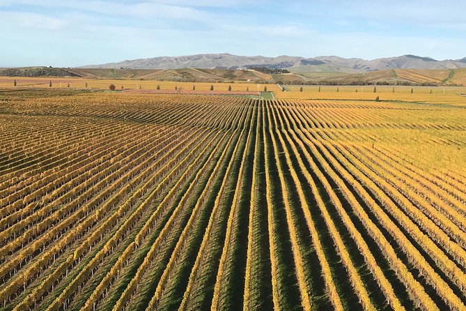 Full-Day Wine Gourmet and Scenic Delight Tour of Marlborough from Blenheim - What the small group changes