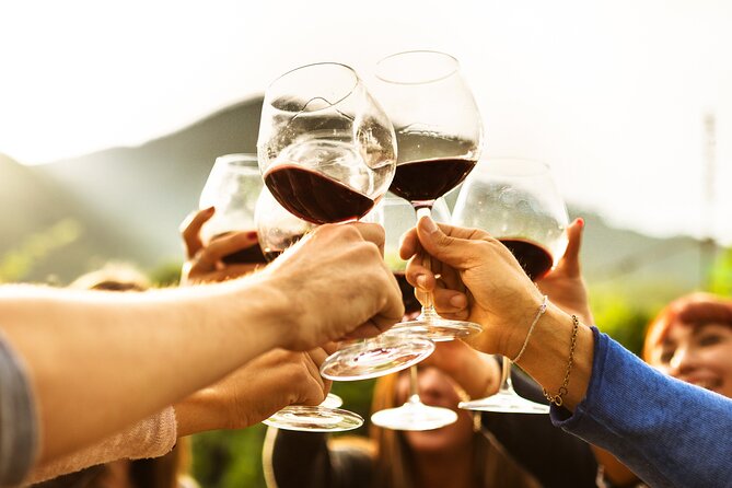Full-Day Wine Tasting Tour in Auckland with 3-Course Vineyard Lunch - What the wine tasting can teach you