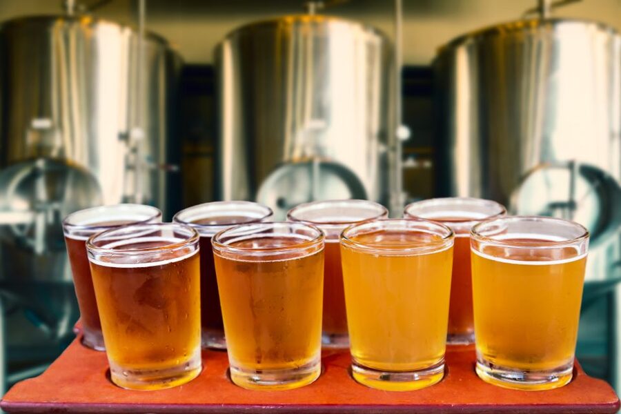 Gdansk: Polish Beer Tasting Tour - Polish snacks make the tasting more useful