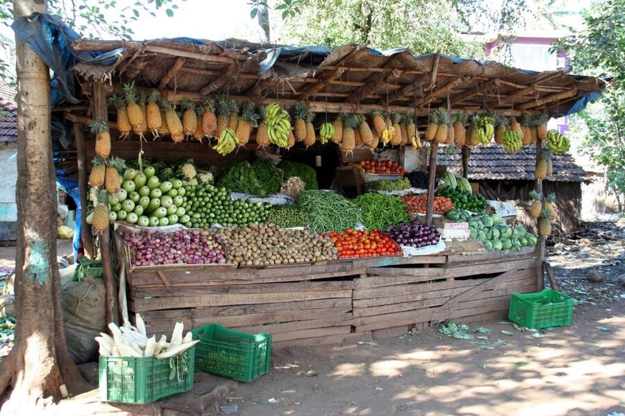 Goa Street Food Crawl: Authentic Food Tasting Experience - Who will enjoy this most